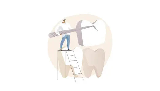 Zahnimplantate richtig pflegen und lange erhalten