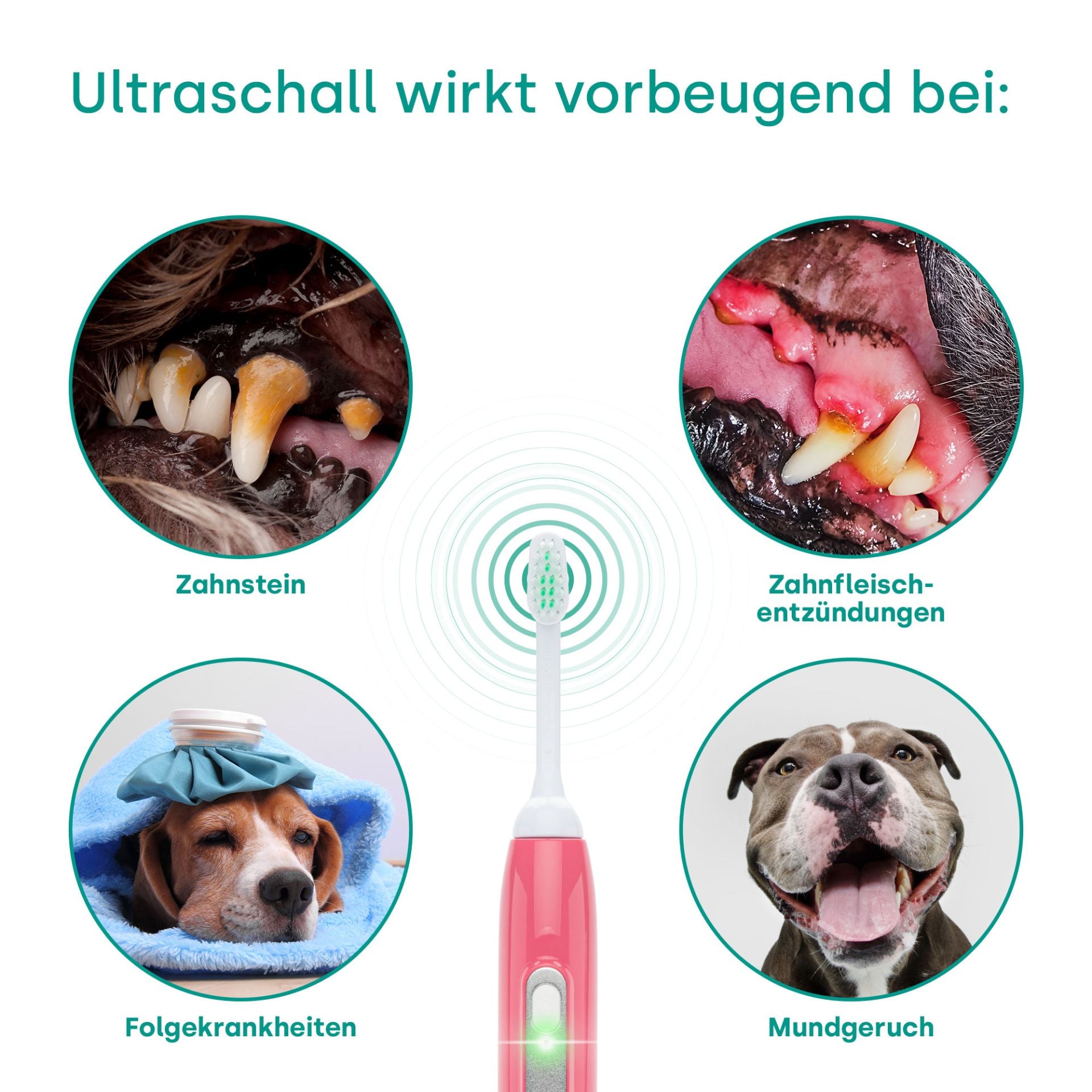 18261 - Emmi-pet Basic Set 2.0 Limited - Enchufe británico rosa