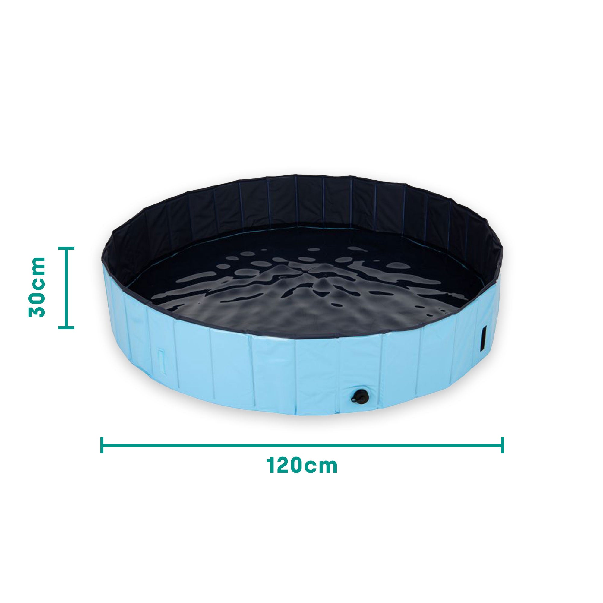 Piscina para perros