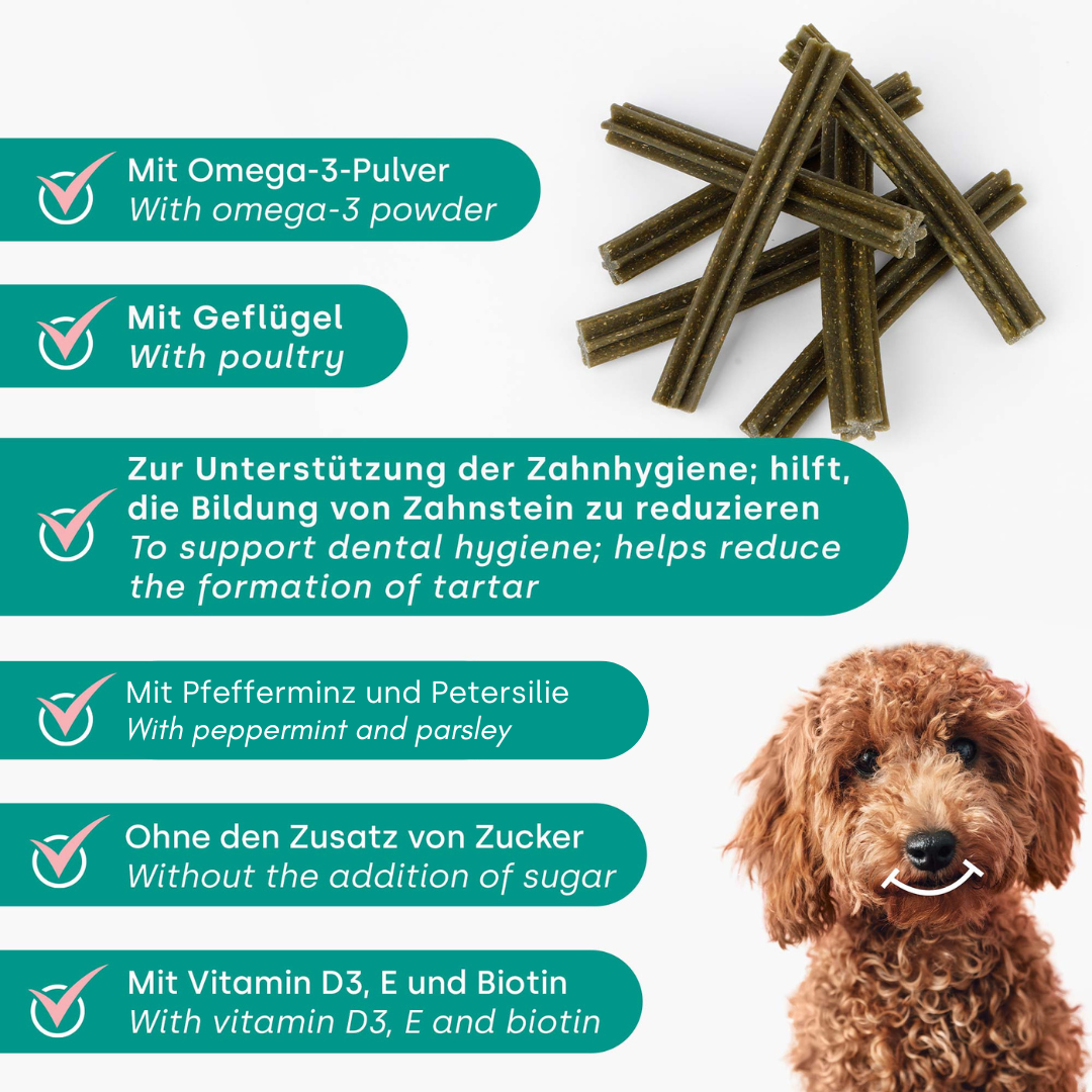 Dental Sticks "Mint" - 7 Stück