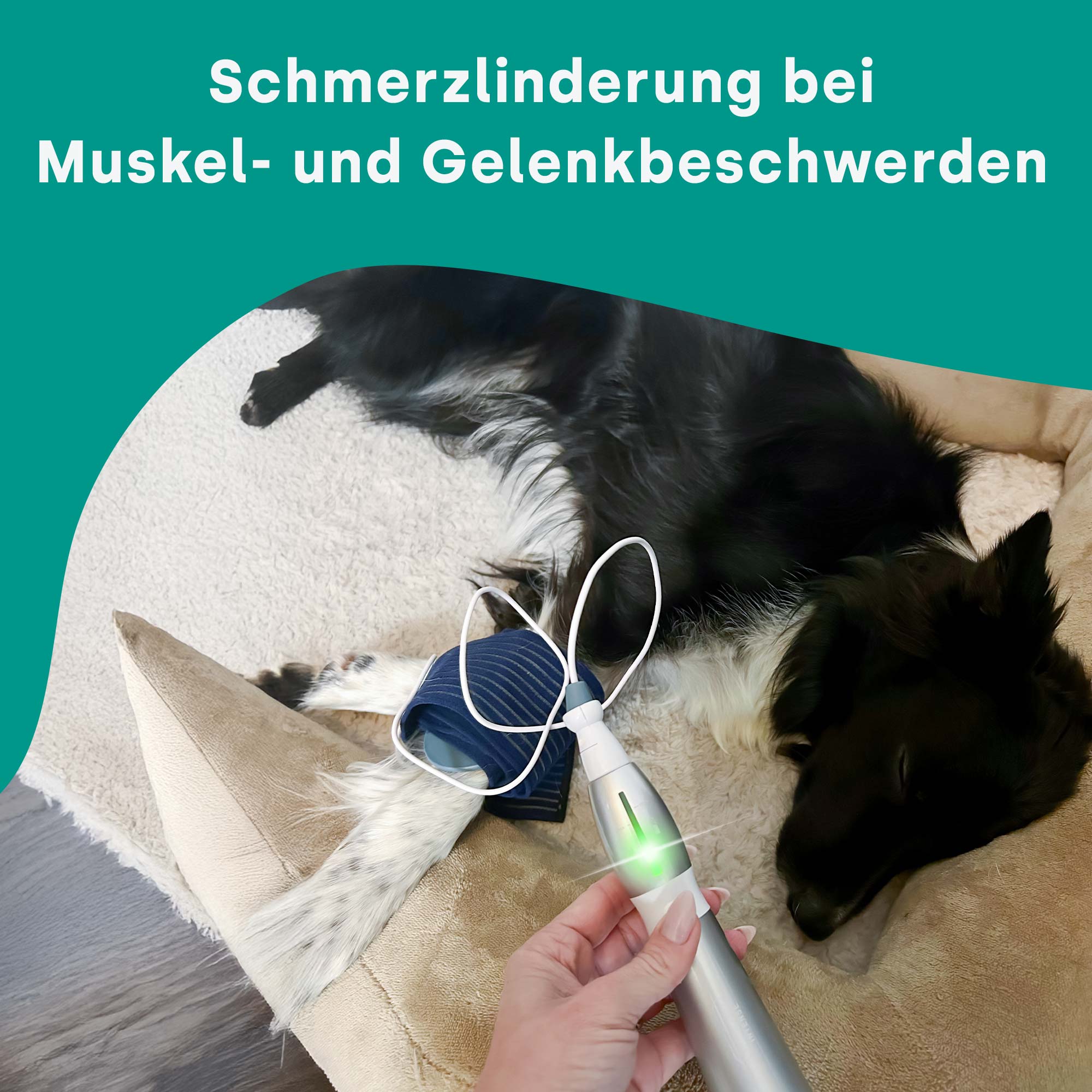 emmi-pet Physio Set PLUS (spina: UE)