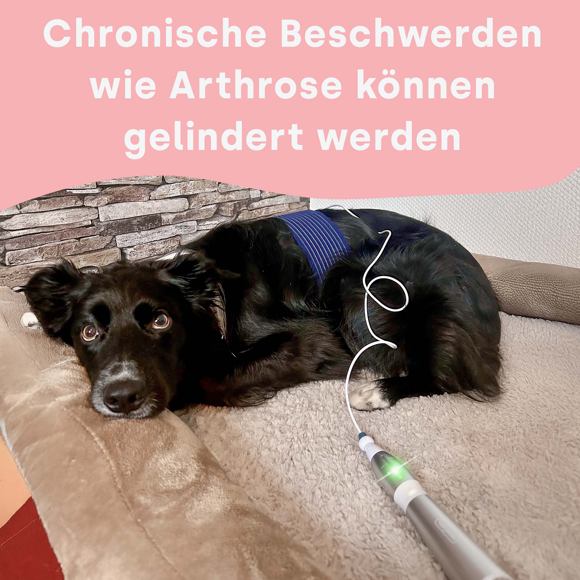 Emmi-pet Physio Set PLUS (enchufe: UE)