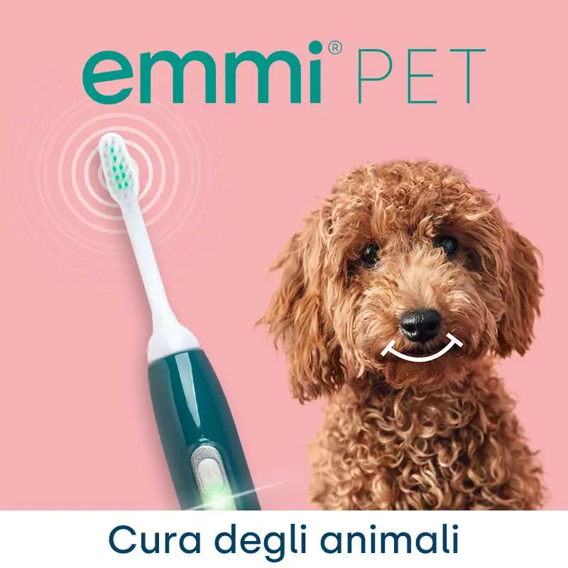 Cura degli animali